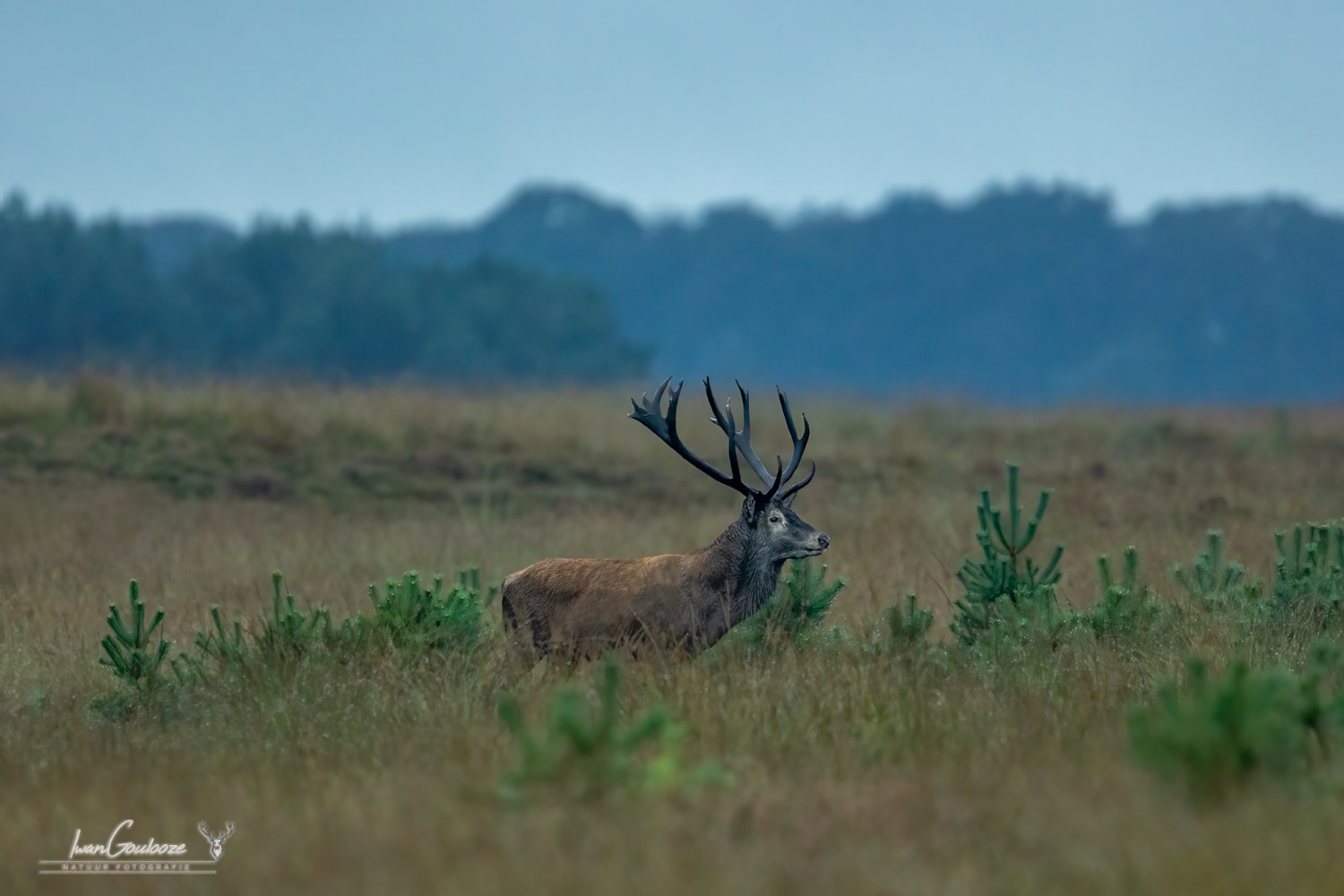 21 september 2023 183116  R2A8246 bewerkt